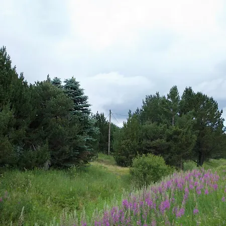 Апартаменты Au Pied Pistes La Quillane *
