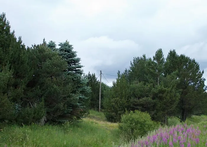 アパート Au Pied Pistes La Quillane *
